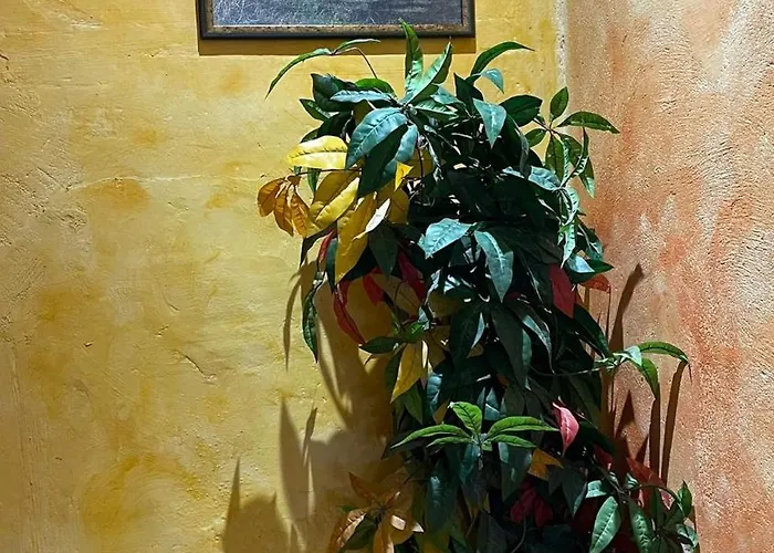 La Milana Landhaus La Robla